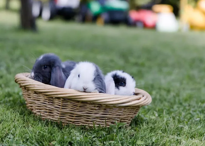 Haus Am - Reintal * Kramsach