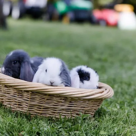 Haus Am - Reintal * קראמסאך